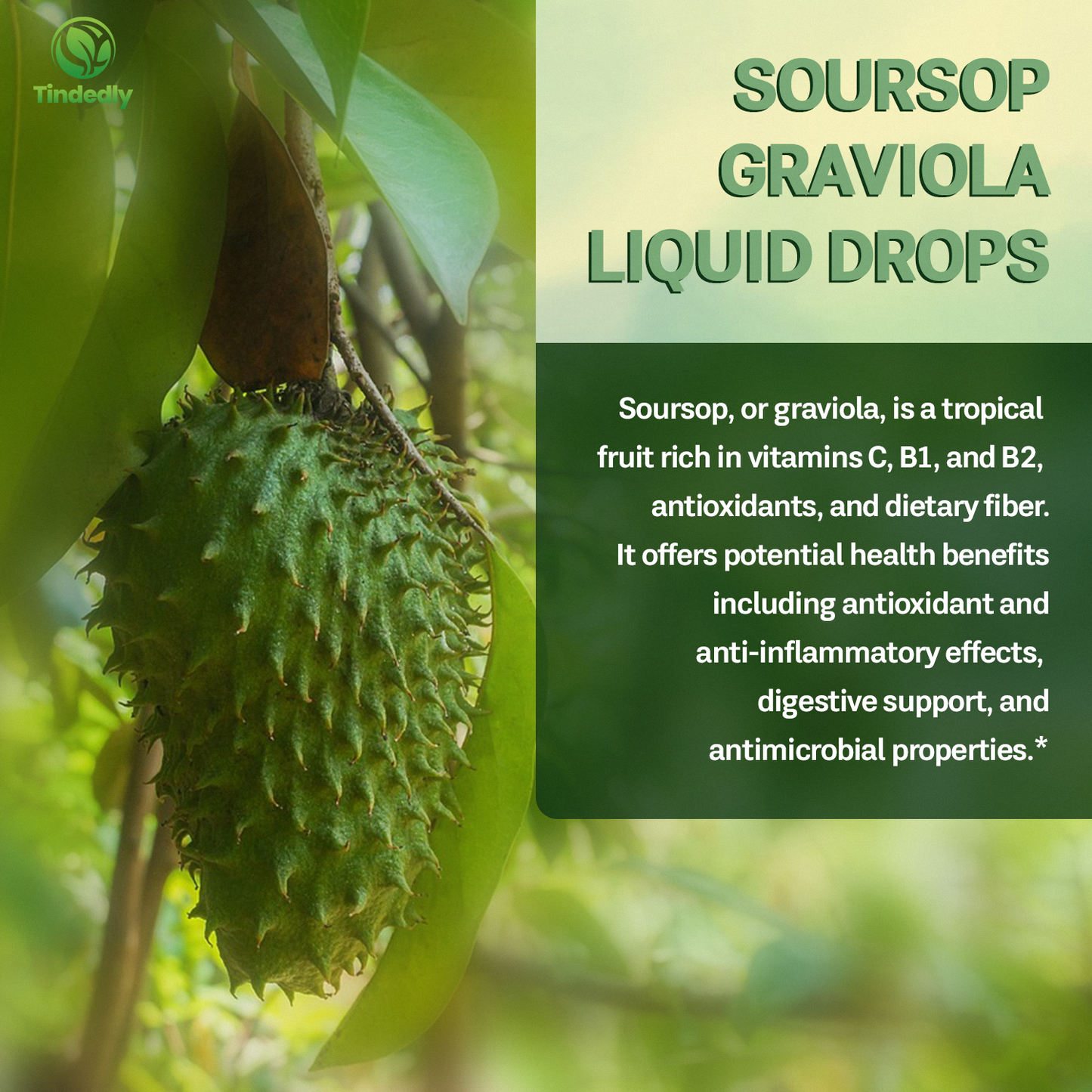Soursop Extract Drops — Liquid Immune Wellness Supplement, Vegan