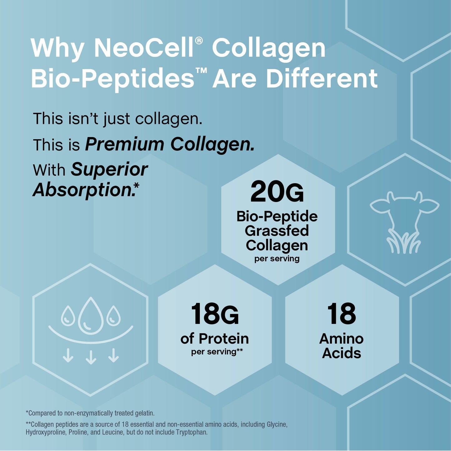 Collagen Peptides Powder — Grass-Fed Hydrolyzed Protein for Skin & Joints