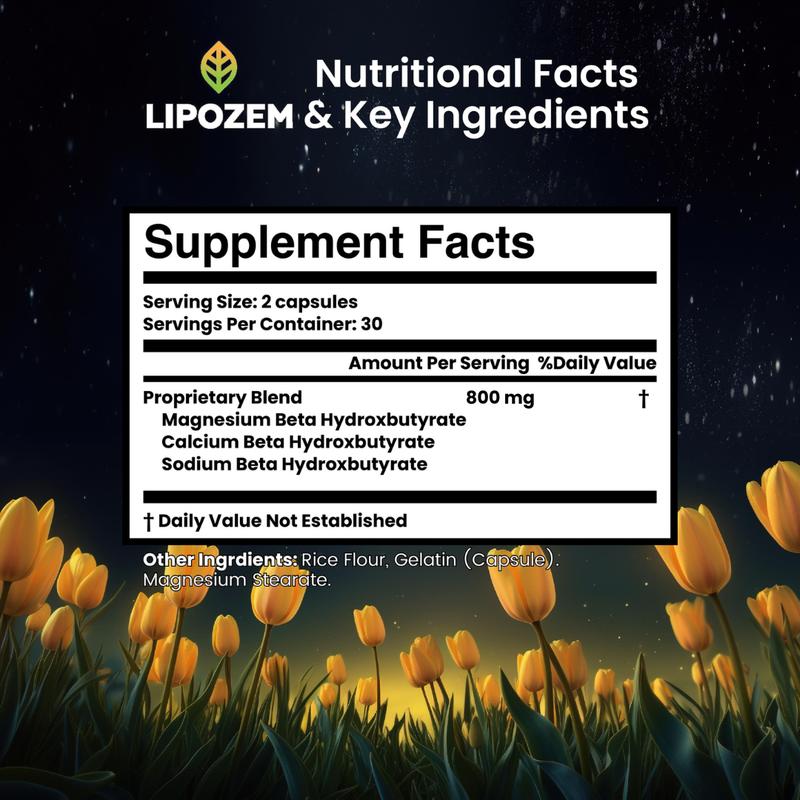BHB Capsules — Ketone Energy & Metabolism Support Supplement