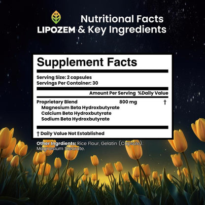 BHB Capsules — Ketone Energy & Metabolism Support Supplement